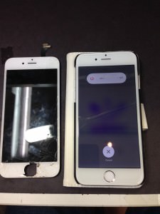 iPhone6復活です